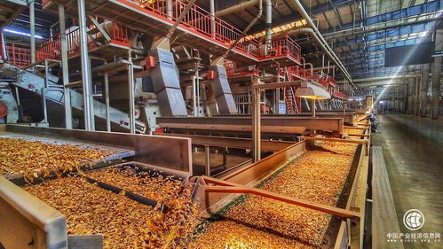 技術驅動創新，智慧賦能發展——云南煙葉復烤有限責任公司楚雄復烤廠2021烤季生產任務圓滿完成