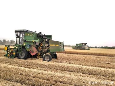 昔日生活苦，今天美滋滋——記襄城縣范湖鄉(xiāng)凹郭村王清坤的農(nóng)機(jī)租賃致富路